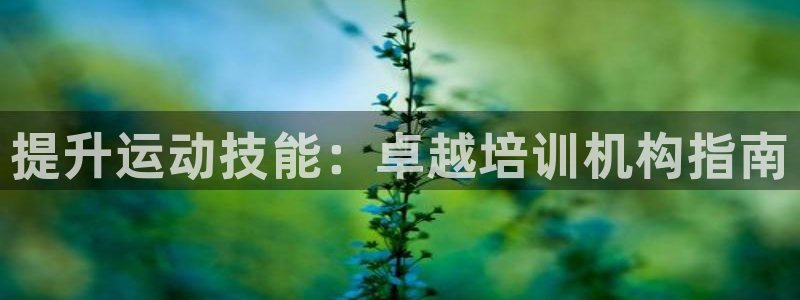 极悦娱乐挂机赚钱是真的吗知乎：提升运动技能：卓越培训
