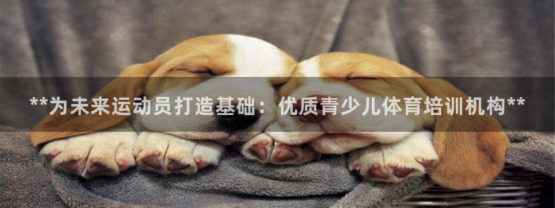 极悦平台平台注册方法与步骤视频：**为未来运动员打造