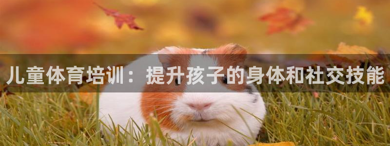 极悦娱乐方7O777：儿童体育培训：提升孩子的身体和