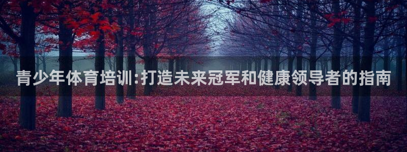 极悦平台登录方式：青少年体育培训:打造未来冠军和健康