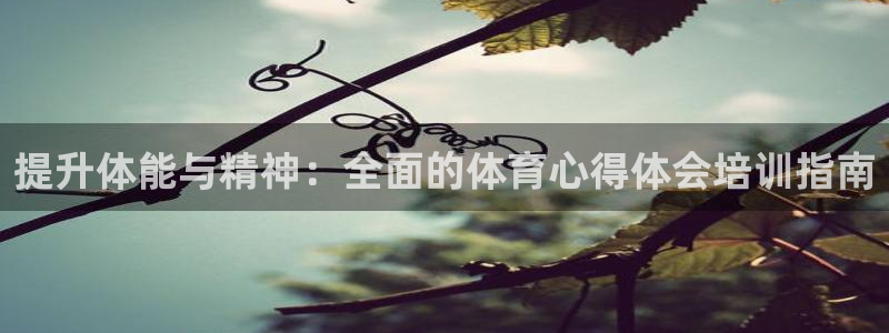 极悦平台注册用户名格式错误：提升体能与精神：全面的体