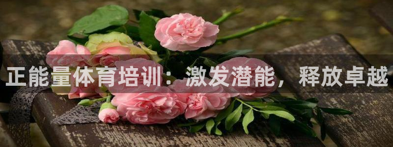 极悦平台注册用户名验证失败：正能量体育培训：激发潜能