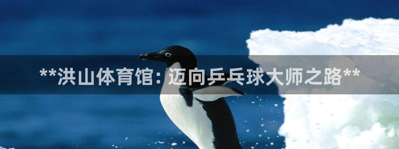 极悦平台客服投诉电话是多少号：**洪山体育馆: 迈向