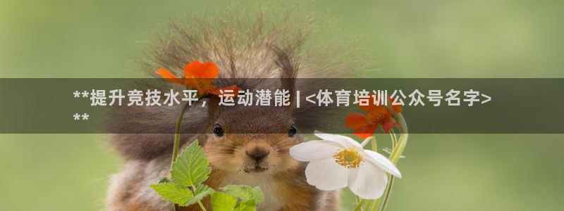 极悦官网入口登录网址：**提升竞技水平，运动潜能 |