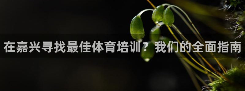 极悦平台使用教程视频：在嘉兴寻找最佳体育培训？我们的
