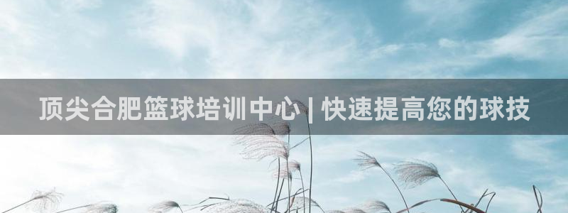 极悦娱乐官网下载：顶尖合肥篮球培训中心 | 快速提高