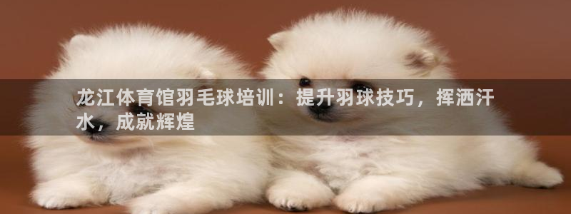 极悦平台注册流程图片：龙江体育馆羽毛球培训：提升羽球