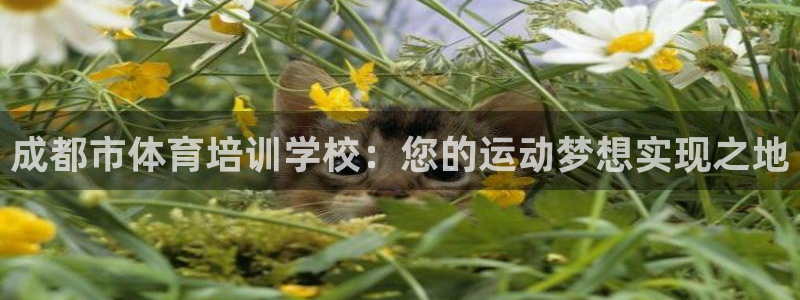极悦平台登录7.0.2.4手机版下载安卓：成都市体育