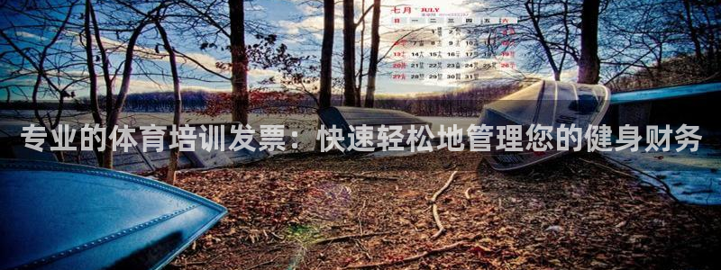 极悦平台官方网站是什么：专业的体育培训发票：快速轻松