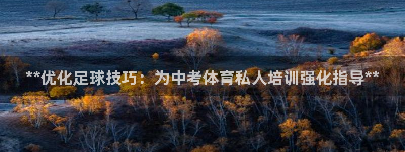 极悦平台平台登录入口：**优化足球技巧：为中考体育私