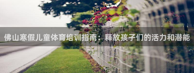 极悦平台注册用户名格式错误：佛山寒假儿童体育培训指南