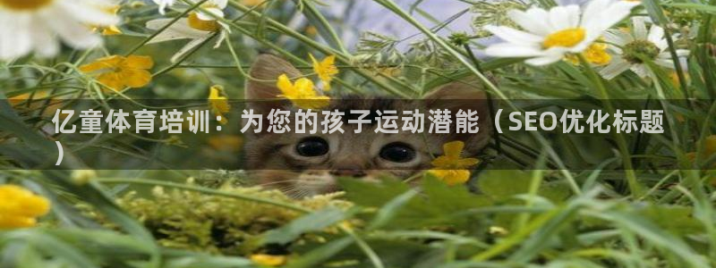 极悦平台集7O777：亿童体育培训：为您的孩子运动潜