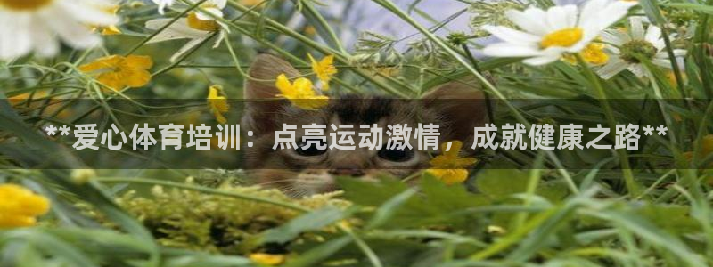极悦平台注册官方网站下载：**爱心体育培训：点亮运动