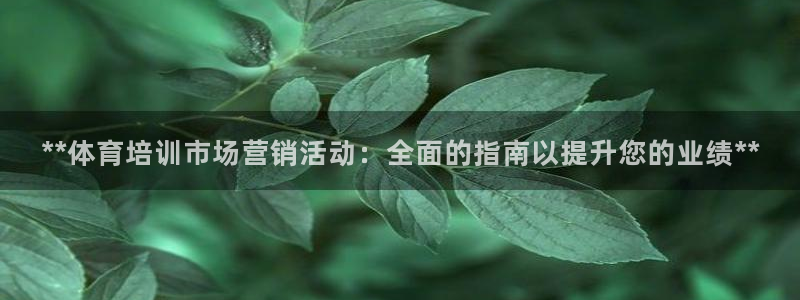 极悦平台用户评价在哪里看：**体育培训市场营销活动：