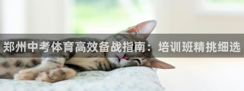 极悦娱乐官网最新版本更新内容视频：郑州中考体育高效备