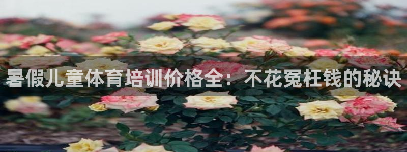极悦平台官方网站下载安卓：暑假儿童体育培训价格全：不