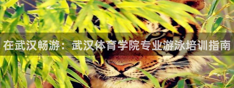 极悦平台与网易合作详情在哪：在武汉畅游：武汉体育学院