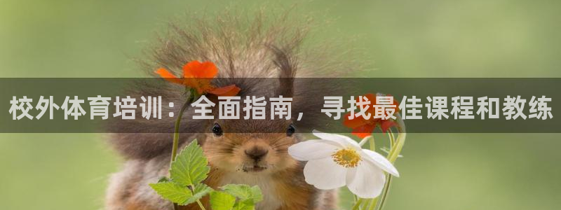 极悦牙膏怎么样好用吗：校外体育培训：全面指南，寻找最