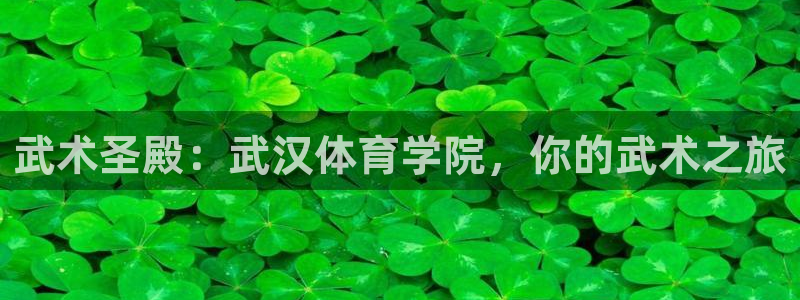 极悦官网首页登录入口：武术圣殿：武汉体育学院，你的武