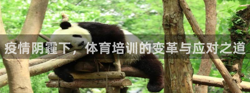 极悦娱乐现在叫什么：疫情阴霾下，体育培训的变革与应对