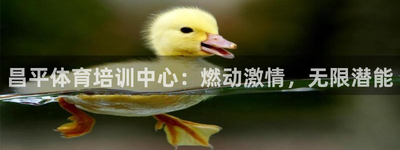 极悦娱乐的背景和历史背景：昌平体育培训中心：燃动激情