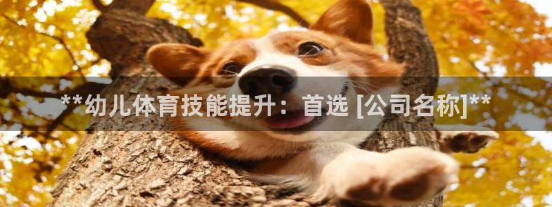 极悦娱乐创始人背景故事是什么：**幼儿体育技能提升：