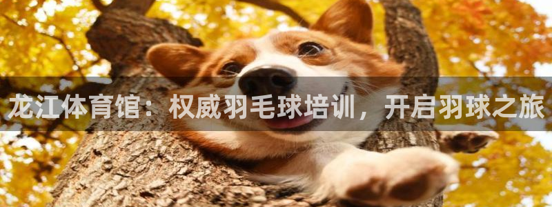 极悦平台客服投诉电话是多少号：龙江体育馆：权威羽毛球
