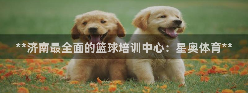 极悦平台注册太7.0.2.4.4更新内容：**济南最