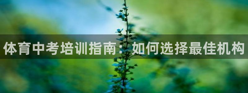 极悦平台官方网站下载：体育中考培训指南：如何选择最佳