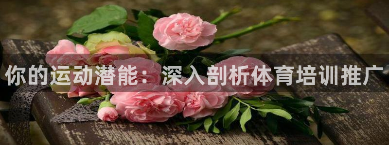 极悦平台用户评价与反馈怎么设置：你的运动潜能：深入剖