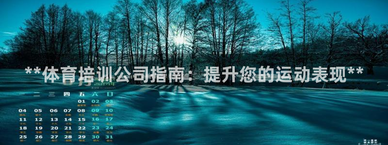极悦平台登录入口注册：**体育培训公司指南：提升您的