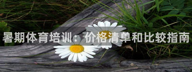 极悦娱乐游戏中心：暑期体育培训：价格清单和比较指南
