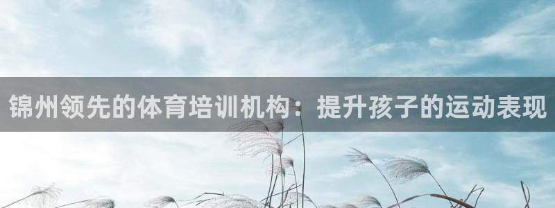 极悦平台登录入口注册账号：锦州领先的体育培训机构：提