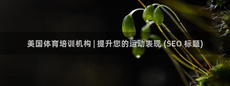 极悦平台注册流程图：美国体育培训机构 | 提升您的运