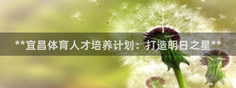 极悦平台官方网站入口：**宜昌体育人才培养计划：打造