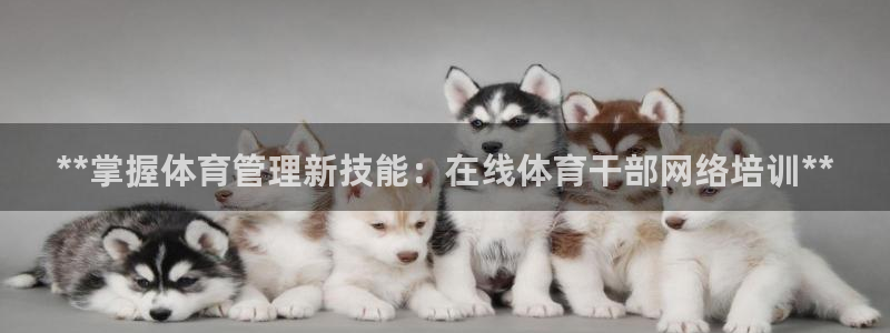 极悦平台注册官方网站下载安装苹果：**掌握体育管理新