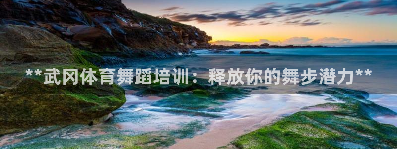 极悦平台用户评价与反馈在哪里：**武冈体育舞蹈培训：