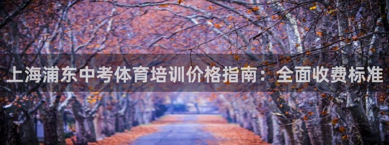 极悦平台官方网站是什么：上海浦东中考体育培训价格指南