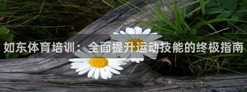 极悦平台股东是谁：如东体育培训：全面提升运动技能的终