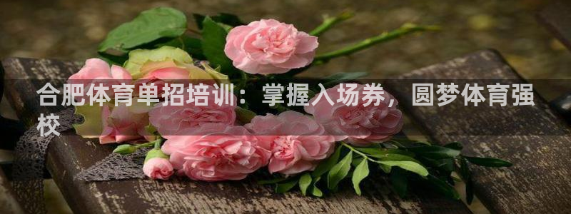 极悦平台有风险吗现在：合肥体育单招培训：掌握入场券，