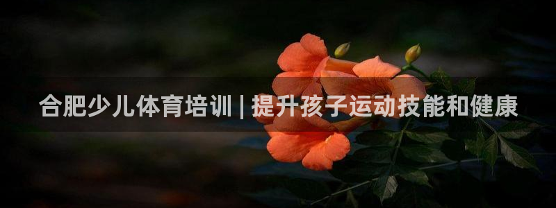 极悦平台注册失败如何解决：合肥少儿体育培训 | 提升