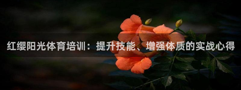 极悦平台和蓝狮平台区别：红缨阳光体育培训：提升技能、