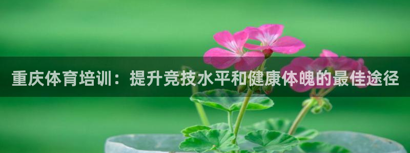 极悦平台使用教程图解：重庆体育培训：提升竞技水平和健