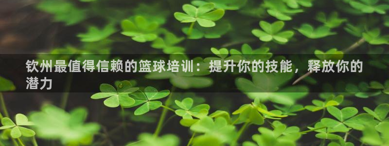 极悦娱乐官网入口下载：钦州最值得信赖的篮球培训：提升