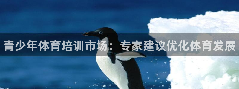 极悦平台注册官方网站下载安装：青少年体育培训市场：专