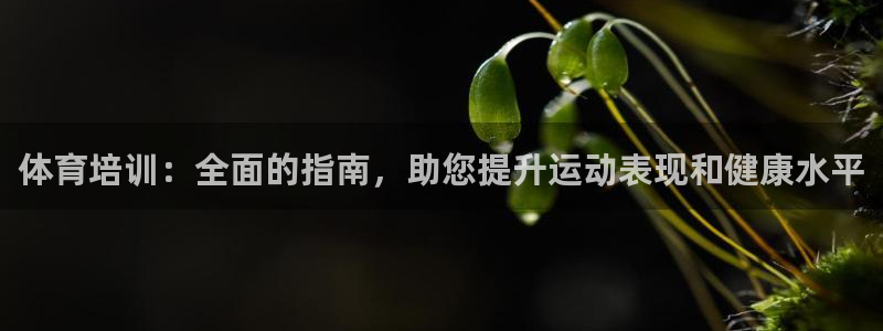 极悦平台是正规平台吗安全吗可靠吗：体育培训：全面的指