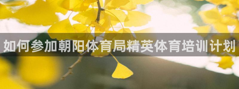 极悦平台注册和登录页面：如何参加朝阳体育局精英体育培