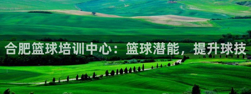 极悦平台下载安装：合肥篮球培训中心：篮球潜能，提升球
