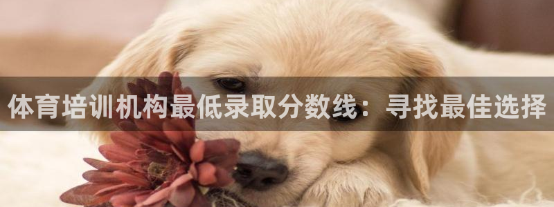极悦官网下载最新版本更新内容视频：体育培训机构最低录