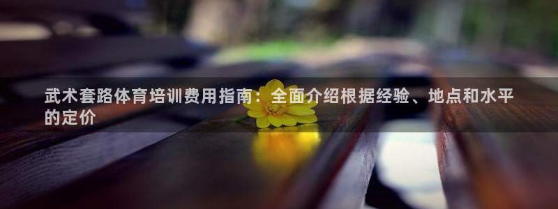 极悦平台使用注意事项：武术套路体育培训费用指南：全面